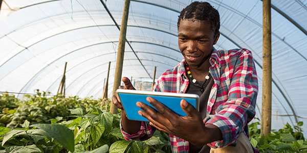 Agriculture