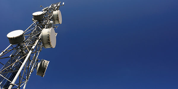 TMT 14 X Images